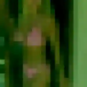 Jean-Marie, 38 ans, cherche un rencontre sexe à Maule
