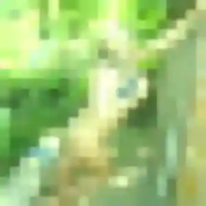 Photo exclusive de Delice, 24 ans à Meaux - rencontre sans lendemain