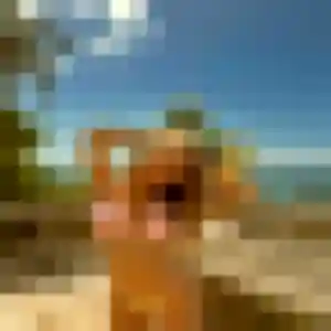 Ibtissam, femme de 35 ans cherche rencontre sexe à Mios