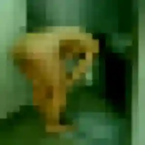 Jolie Chloe, 34 ans à Moëlan-sur-Mer - voir sa photo
