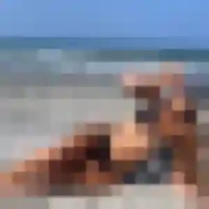 Roxane de Molsheim, 43 ans - rencontre sexe sans lendemain