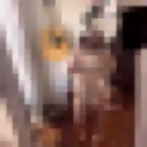 Regine (37 ans) à Mondeville propose un rencontre sexe maintenant