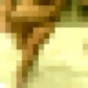 Photo de Ava à Mons-en-Barœul (33 ans) - rencontre sexe gratuit