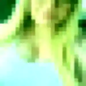 Imane, 43 ans, disponible à Montaigu-Vendée pour une rencontre coquine