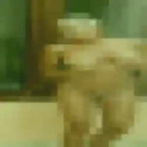 Eglantine, 25 ans, disponible à Montereau-Fault-Yonne pour un rencontre sexe