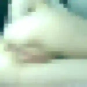 Jolie Giulia, 27 ans à Morangis - la contacter