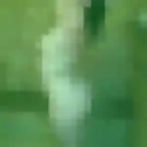 Jocelyne (43 ans) à Noisiel propose un rencontre sexe rapidement