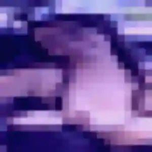 Ava, 24 ans, disponible à Orée d'Anjou pour un rencontre sexe