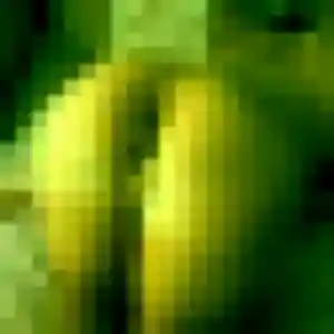 Suzanne, 38 ans, en ligne à Ouangani pour un rencontre sexe