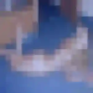 Ariane, 38 ans, en ligne à Pamandzi pour un rencontre sexe