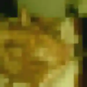 Violette, 28 ans, connectée à Panazol pour un rencontre sexe