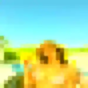 Photo privée de Xaviere, 25 ans à Pantin - rencontre coquine