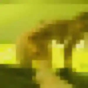 Garance, 42 ans, connectée à Parthenay pour une rencontre coquine