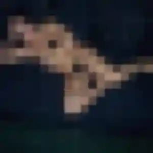 Ambre (43 ans) à Périgueux cherche un rencontre sexe rapidement