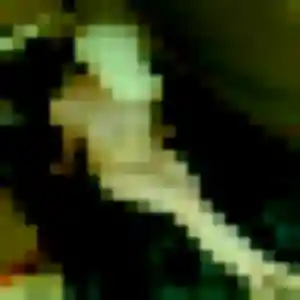 Photo de Giulia à Plabennec (30 ans) - rencontre sexe gratuit