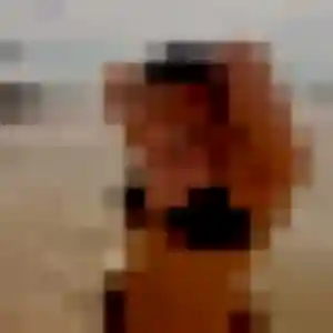 Sexy Brigitte, 43 ans à Pluneret - voir sa photo