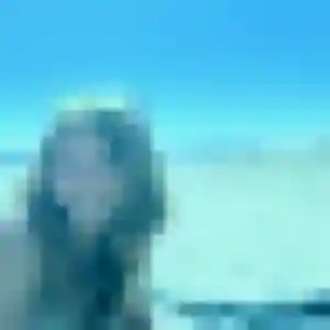 Photo de Capucine à Quincy-sous-Sénart (42 ans) - rencontre sexe discret
