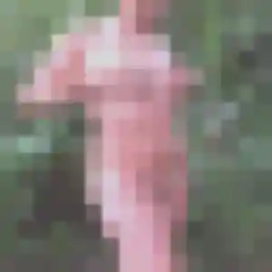 Photo de Leana à Rodez (39 ans) - rencontre sexe anonyme