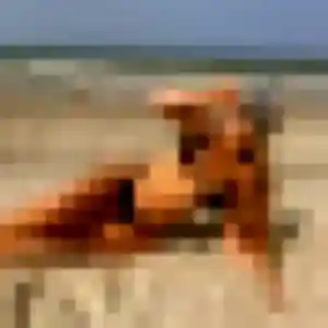 Photo privée de Zina, 39 ans à Romans-sur-Isère - plan discret