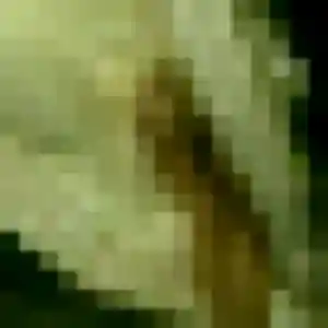 Graziella, 31 ans, dispo pour rencontre sexe à Rosheim