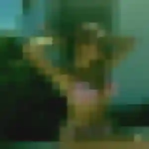 Photo exclusive de Jade, 38 ans à Roussillon - rencontre coquine