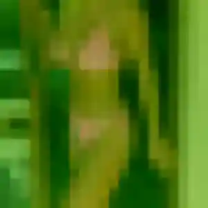 Photo de Brunehilde à Ruelle-sur-Touvre (33 ans) - rencontre sexe discret
