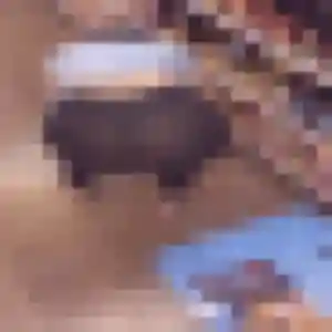 Photo de Heloise à Sablé-sur-Sarthe (21 ans) - rencontre sexe discret