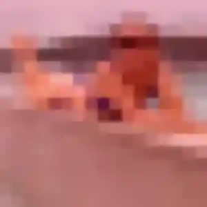 Graziella, femme de 44 ans propose rencontre sexe à Saint-Genest-Lerpt