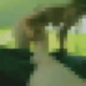 Photo exclusive de Agnes, 41 ans à Saint-Mandrier-sur-Mer - rencontre sans lendemain