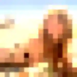 Profil de Ambre à Saint-Martin-Boulogne (19 ans) - rencontre sexe gratuit