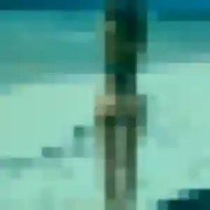 Photo de Blandine à Saint-Martin-lez-Tatinghem (44 ans) - rencontre sexe discret
