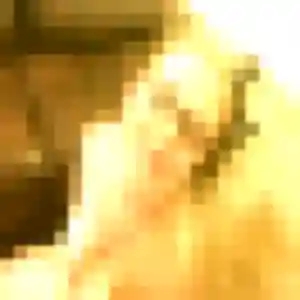Photo de Lola à Saint-Pierre-du-Mont (20 ans) - rencontre sexe sans inscription