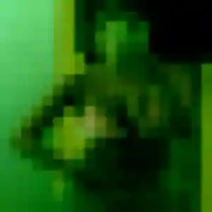 Idalina, 24 ans, en ligne à Toulouges pour un rencontre sexe
