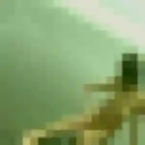 Gaelle (41 ans) à Tours attend un rencontre sexe ce soir