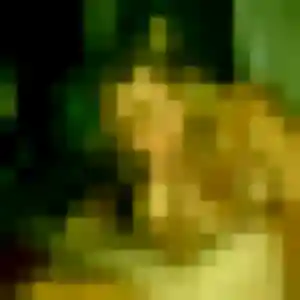 Photo exclusive de Sylvie, 31 ans à Urrugne - rencontre sans lendemain