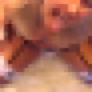 Amel, fille de 37 ans veut rencontre sexe à Vernouillet