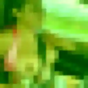 Photo exclusive de Laurence, 42 ans à Villard-Bonnot - rencontre coquine