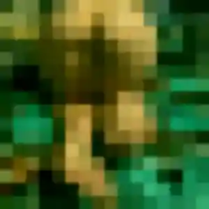Zelda (41 ans) à Villerupt propose une rencontre maintenant