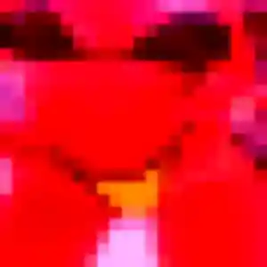 rencontre sexe à Villiers-le-Bel : profil de Suzanne, 30 ans - inscription gratuite