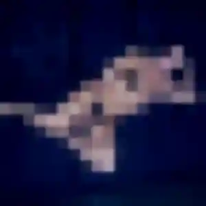 Photo privée de Siham, 38 ans à Viroflay - plan discret