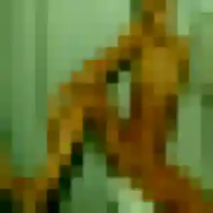 Alienor, 44 ans, cherche un rencontre sexe à Vizille
